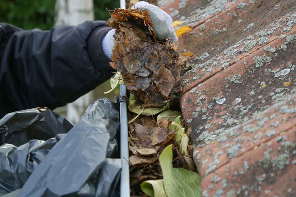 gutter cleaning vancouver